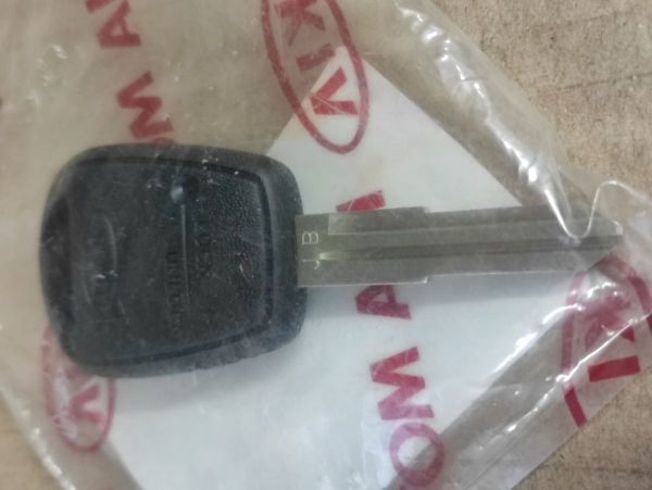 DÁLKOVÉ OVLÁDÁNÍ S KLÍČEM