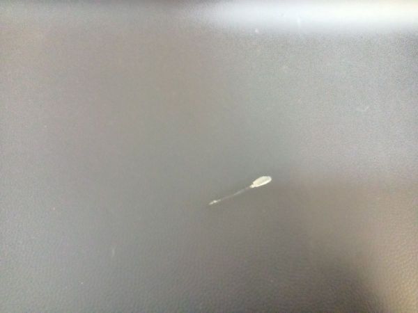 LIŠTA POŠKOZENO VIZ FOTO