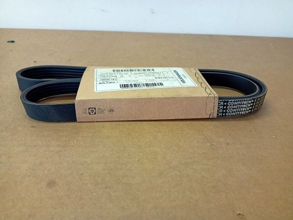 KLÍNOVÝ ŽEBROVÝ ŘEMEN EXP. 30.07.2020