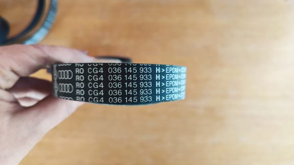 KLÍNOVÝ ŽEBROVÝ ŘEMEN